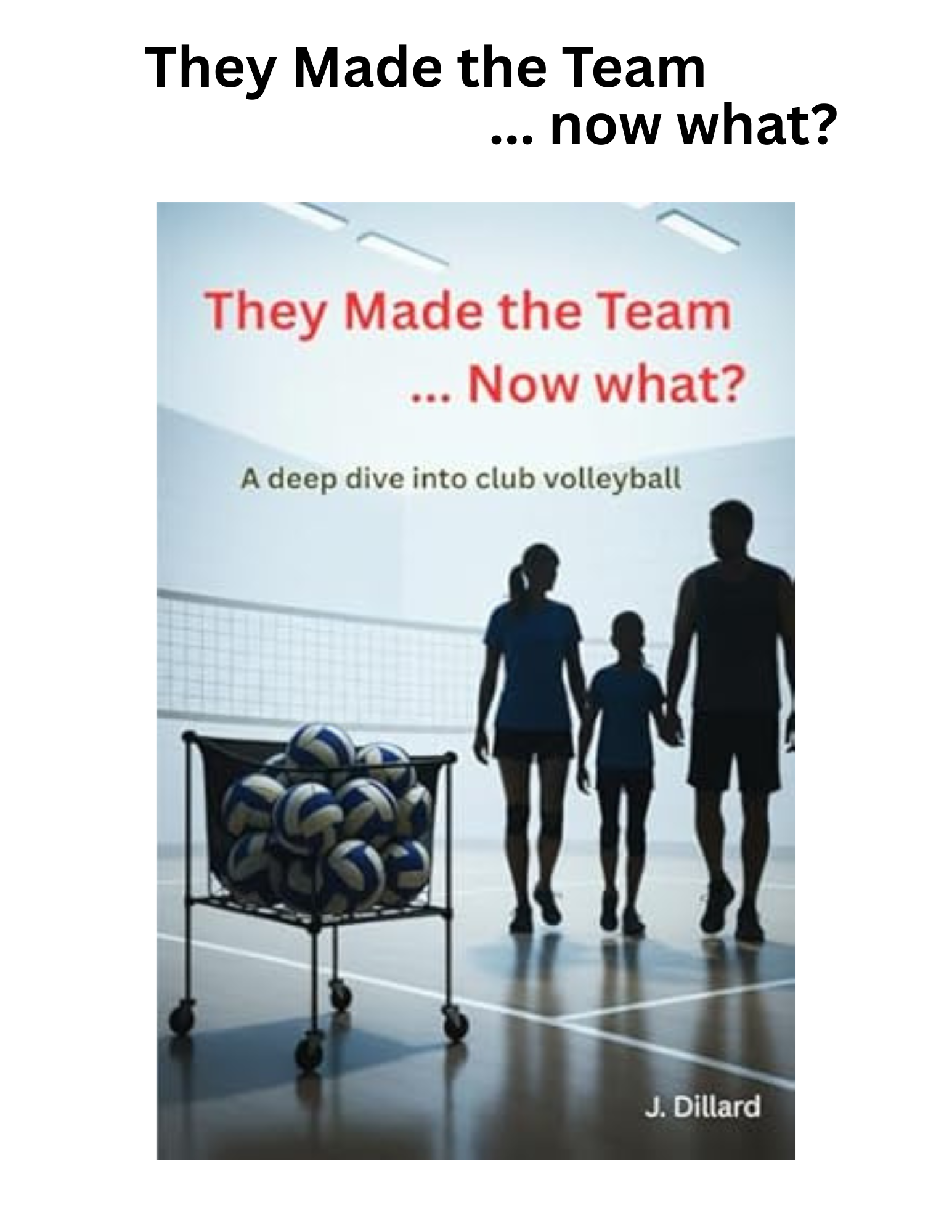 They Made the Team… Now What? book cover