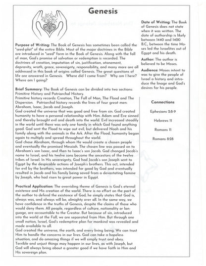 Bible Study Notebook - Organized by Book | Faith Journey Companion